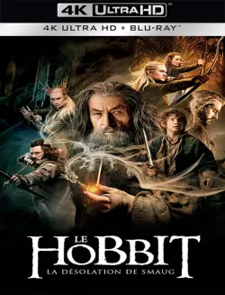 Le Hobbit : la Désolation de Smaug