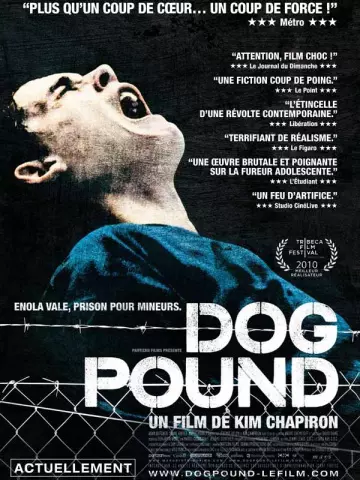 Dog Pound