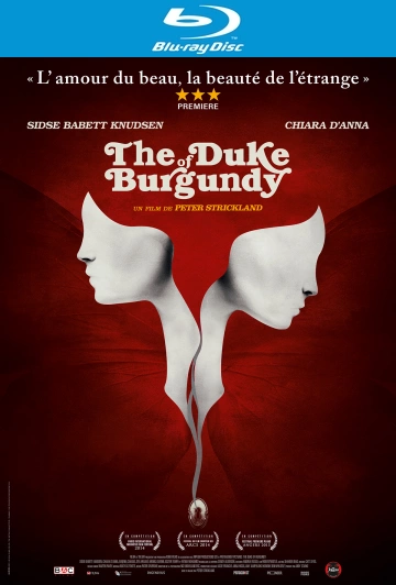 The Duke Of Burgundy