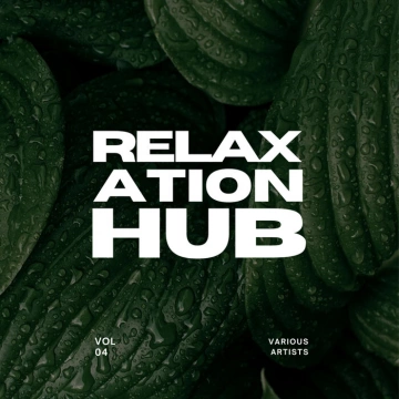 FLAC RELAXATION HUB VOL. 4