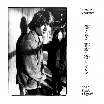 FLAC Sonic Youth - Hold that Tiger