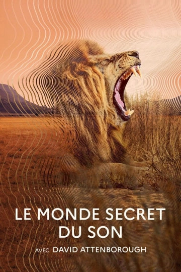 Le monde secret du son avec David Attenborough - Saison 1