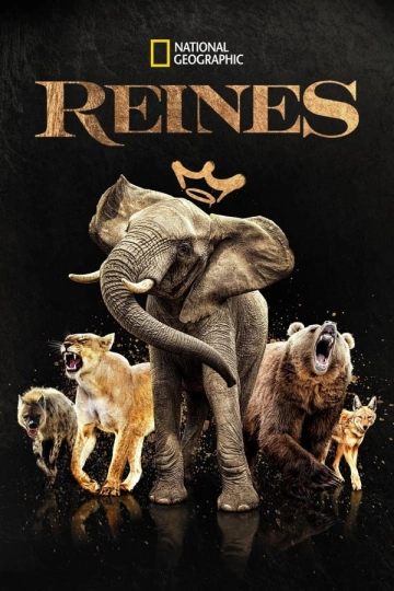 Reines - Saison 1