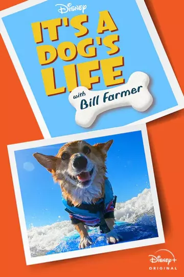 It's A Dog's Life - Saison 1