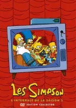 Les Simpson - Saison 5