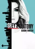 Grey's Anatomy - Saison 13